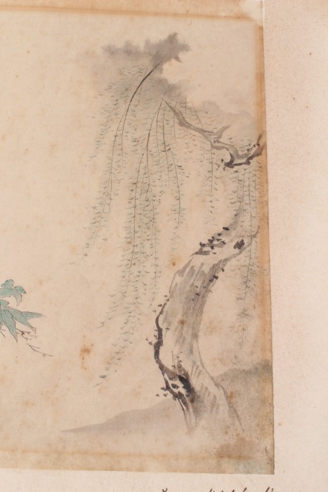 Attributed to Kano Tashin (1653-1718) watercolour - botanical study and a Kano School watercolour - Image 3 of 9