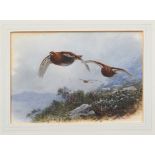 Archibald Thorburn (1860-1935) hand coloured lithograph - Grouse over the heather...