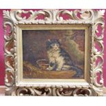 19th century English school oil on canvas - a kitten seated by its bowl, in period gilt Florentine