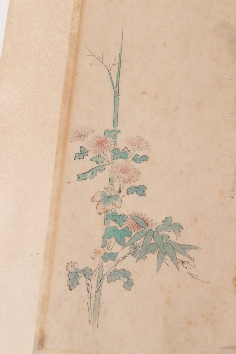 Attributed to Kano Tashin (1653-1718) watercolour - botanical study and a Kano School watercolour - Image 2 of 9
