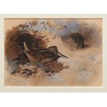 Archibald Thorburn (1860-1935) hand coloured lithograph - Woodcock in snow...
