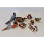 Eight Royal Crown Derby paperweights including Turtle, Ladybird, Coot and other birds, 5 with boxes