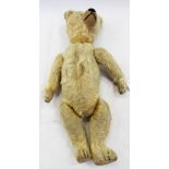 Early mohair teddy bear