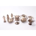 Selection of Victorian and later silver pepperettes, mustard pots and other condiments