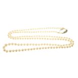 Cultured pearl necklace