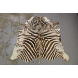 Zebra skin rug