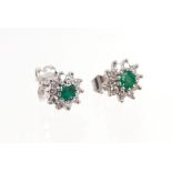 Pair of emerald and diamond cluster earrings in 18ct white gold setting, in Mappin & Webb box