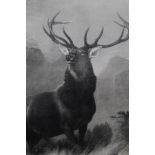 Sir Edwin Landseer late 19th engraving by Zobel - The Monarch Of The Glen, published 1896 by The