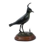 Patricia Northcroft (contemporary), patinated bronze figure of lapwing, signed to cast and numbered