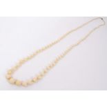 Antique ivory bead necklace with a string of 119 graduated ivory beads ranging from 3.75mm - 23mm.