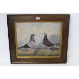 English school, mid-20th century, oil on canvas - racing pigeons, "Burnleys Best" and "Seldom Led",