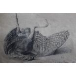 Jean-Maxime Claude (1823-1904) pencil drawing - A Bittern, after the work by Oudry, signed,