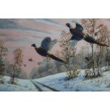 Mark Chester acrylic on board - Pheasants in flight over a snow covered track, signed, in glazed
