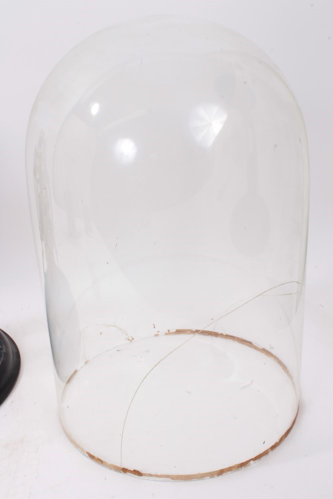 Late 19th / early 20th century brass skeleton clock under glass dome - Image 7 of 9