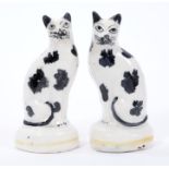 Unusual pair of 19th century Staffordshire seated cats