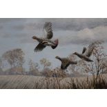 Mark Chester pair of acrylic on board - French and English Partridges, signed, in glazed frames