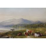 Cornelius Pearson and Thomas Francis Wainwright cattle watercolour