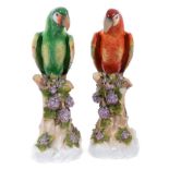 Pair of Continental Porcelain parrot figures