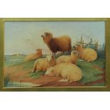 Attributed to Thomas Sidney Cooper, watercolour, sheep in a landscape, signed and dated