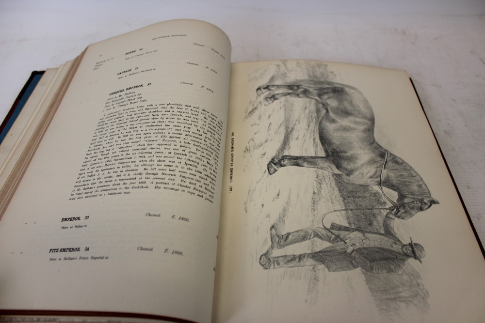 Herman Biddell - ‘Suffolk Stud Book’, 1880, 14 plates by John Duvall, half calf cloth binding - Image 3 of 3