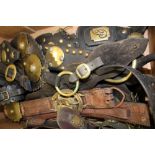 Good collection of antique martingales, approximately 20 leather straps hung with various