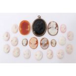 Collection of carved shell unmounted cameos and a black cameo pendant