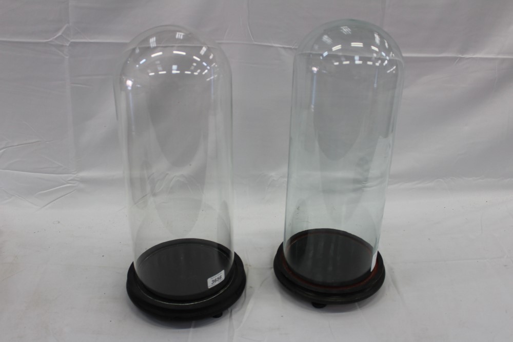 Pair of glass domes on ebonised wood bases (2)