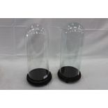 Pair of glass domes on ebonised wood bases (2)