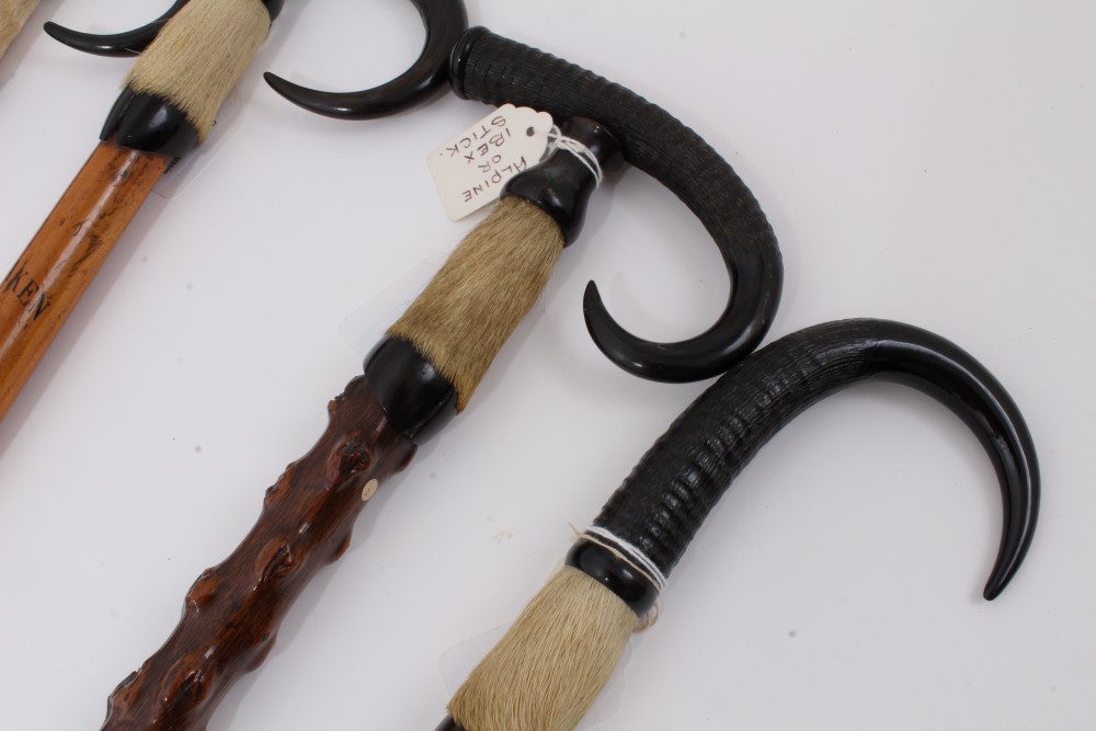 Four Alpine walking sticks with Ibex horn handles and spiked ferrules, one inscribed "Interlaken" - Image 4 of 6