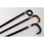 Late Victorian Rosewood walking stick with silver collar (Birmingham 1899) horn crook handle and