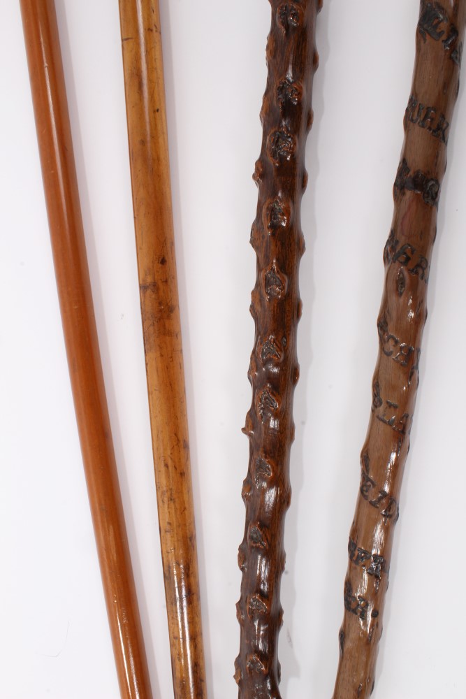 Four Alpine walking sticks with Ibex horn handles and spiked ferrules, one inscribed "Interlaken" - Image 5 of 6