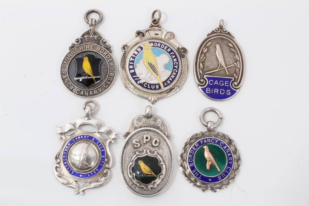 Enamelled silver ‘Scarborough Canary and Cage. Bird Socy’ medal