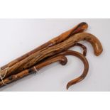 Collection of five "Naturalistic" walking sticks of various lengths including an old artisan