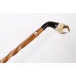 Early 20th century walking stick with twisted shaft, horn ferrule and unusual carved horn handle,