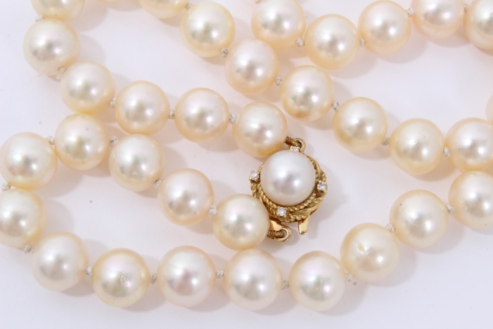 Cultured pearl necklace with a single string of 8mm cultured pearls on 18ct gold clasp. 42cm length. - Image 2 of 2