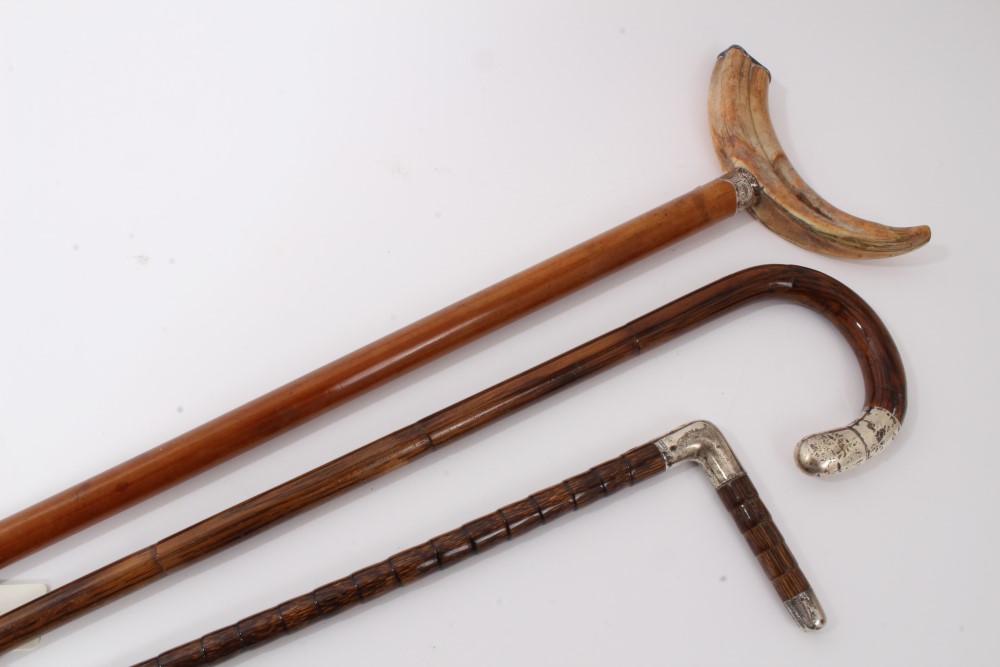 Victorian Malacca walking stick with silver collar and boar's tusk handle with silver end cap