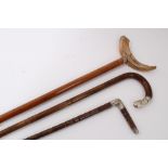 Victorian Malacca walking stick with silver collar and boar's tusk handle with silver end cap
