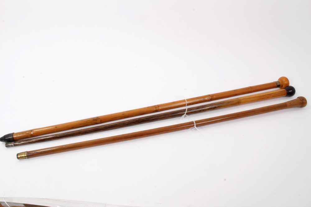 Late 19th/early 20th century stepped Malacca walking stick with metal collar and roundel handle - Image 2 of 5