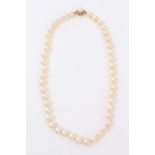 Cultured pearl necklace with a single string of 8mm cultured pearls on 18ct gold clasp. 42cm length.