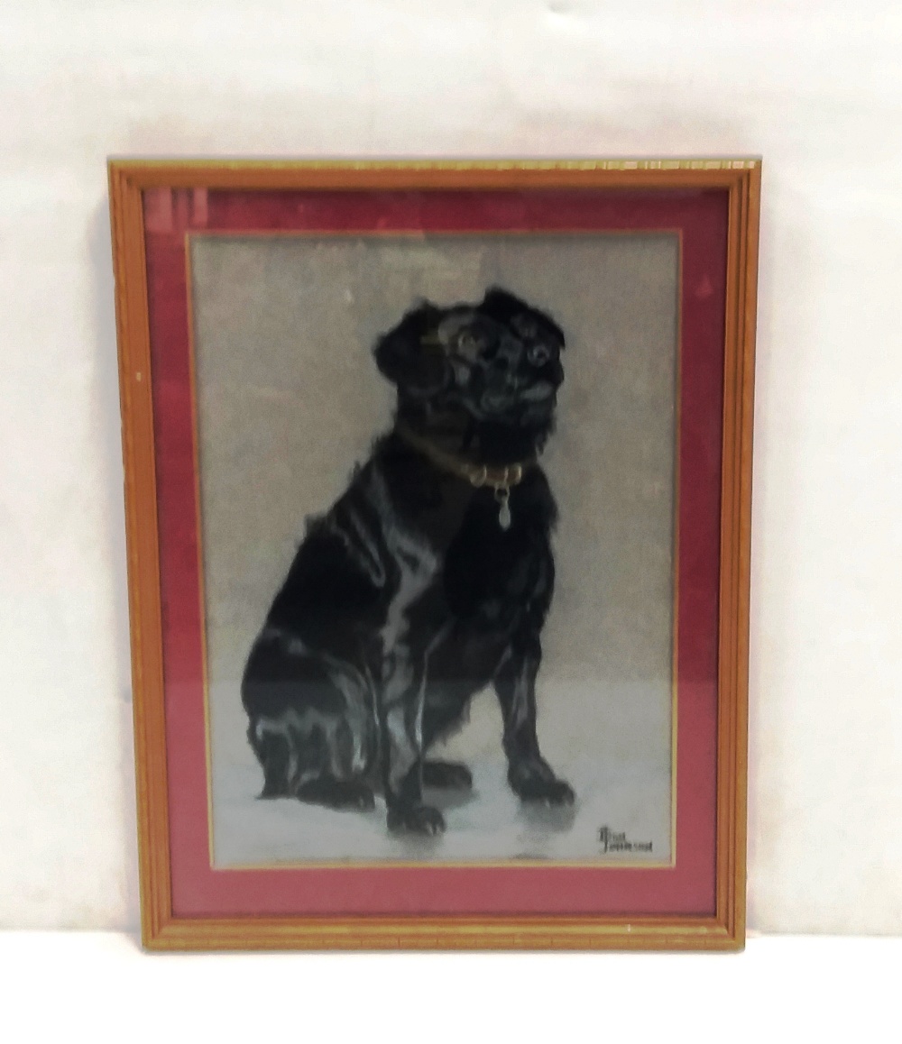 Charcoal Portrait of Dog by Don Johnson