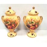 Pair of Aynsley Orchard Gold Fine Bone China Urns