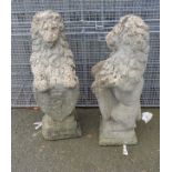 A pair of 34" cast concrete garden lions holding shields