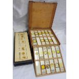 Two boxes containing various vintage prepared biological and zoological microscope slides