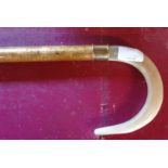 A lacquered hazel walking stick with horn handle and brass collar