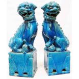 A pair of mid 20th Century Chinese export blue glazed foo dogs, one with a pup and the other a ball,