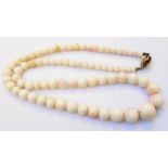 An old single string graduated angel skin/blush coral bead necklace with marked 800 silver gilt