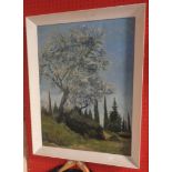 Patricia Fishwick: a framed oil on board, entitled verso 'Olive Trees, Corfu' - signed and dated