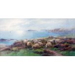 Tom Rowden: a wide gilt slipped watercolour, depicting sheep on a clifftop - signed and titled on