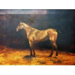 A gilt framed 19th Century oil on canvas study of a horse - inscribed on the stretcher 'Tiger