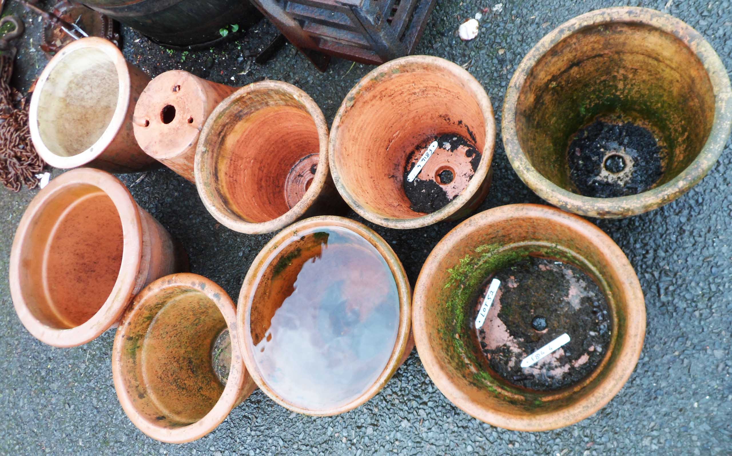 Nine terracotta plant pots - various sizes and designs